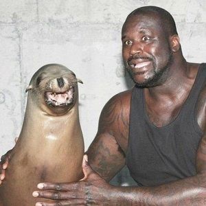 Meet your Posher, Mia